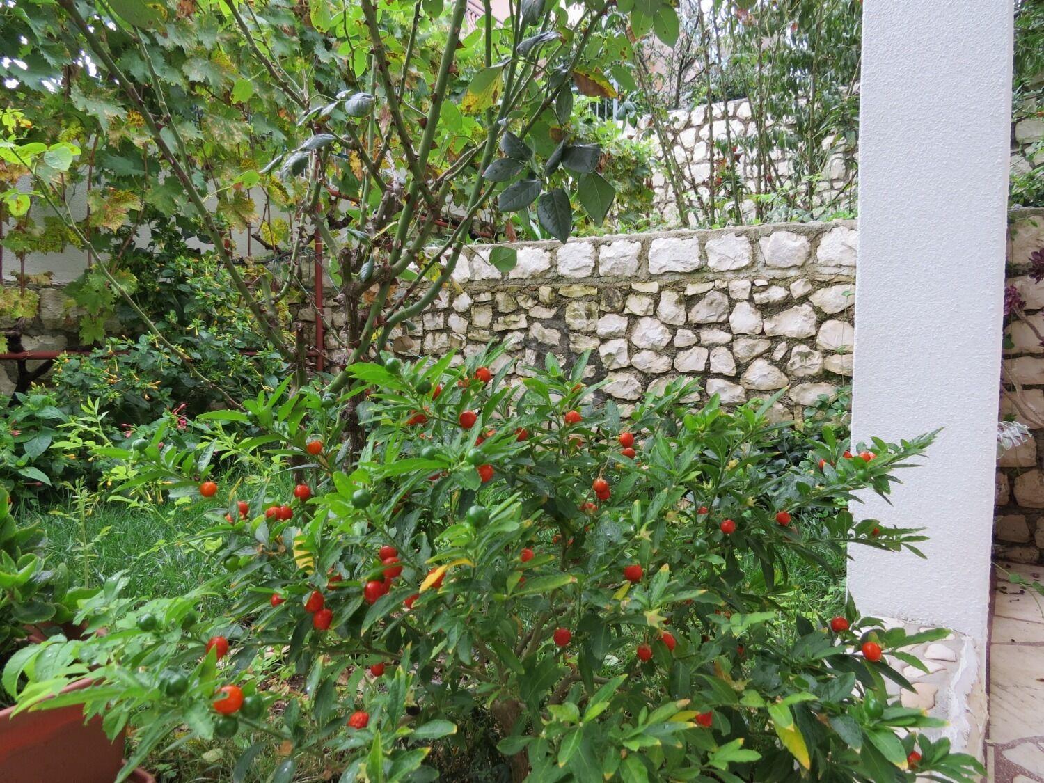 Apartment Bubi Trogir Exterior photo